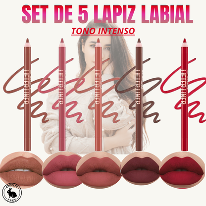 👄🔥SET DE 5 LAPIZ LABIAL, TONOS IRRESISTIBLES MATE CON ACIDO HIALURONICO🎀🔥 OFERTA🔥